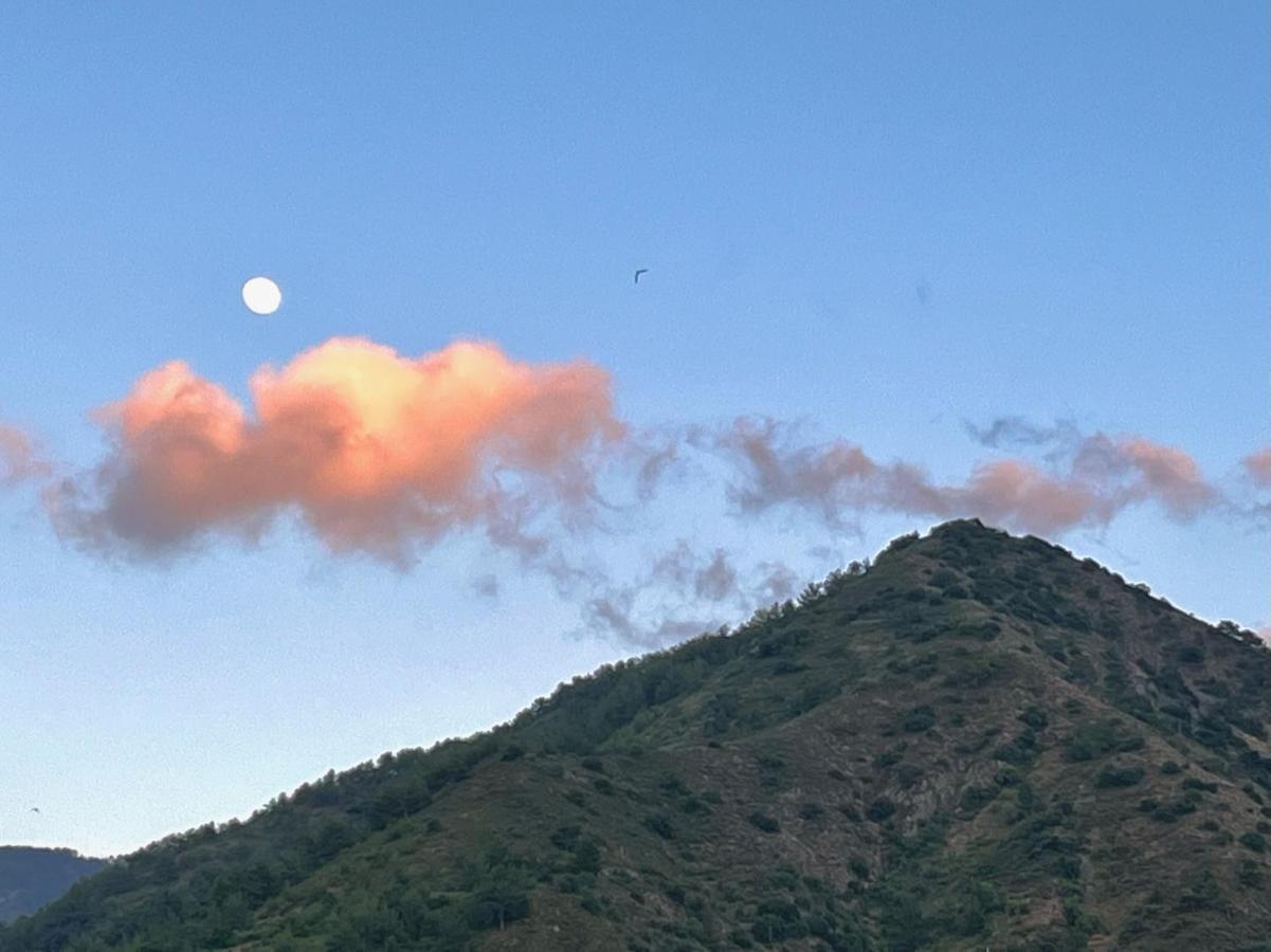 Balkoni Moutoullas Dış mekan fotoğraf