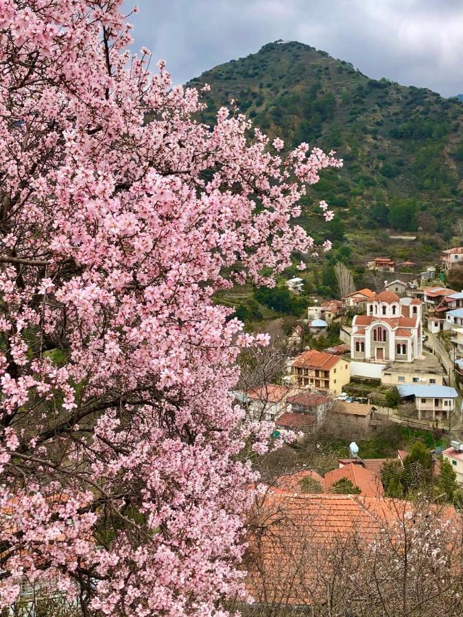 Balkoni Moutoullas Dış mekan fotoğraf